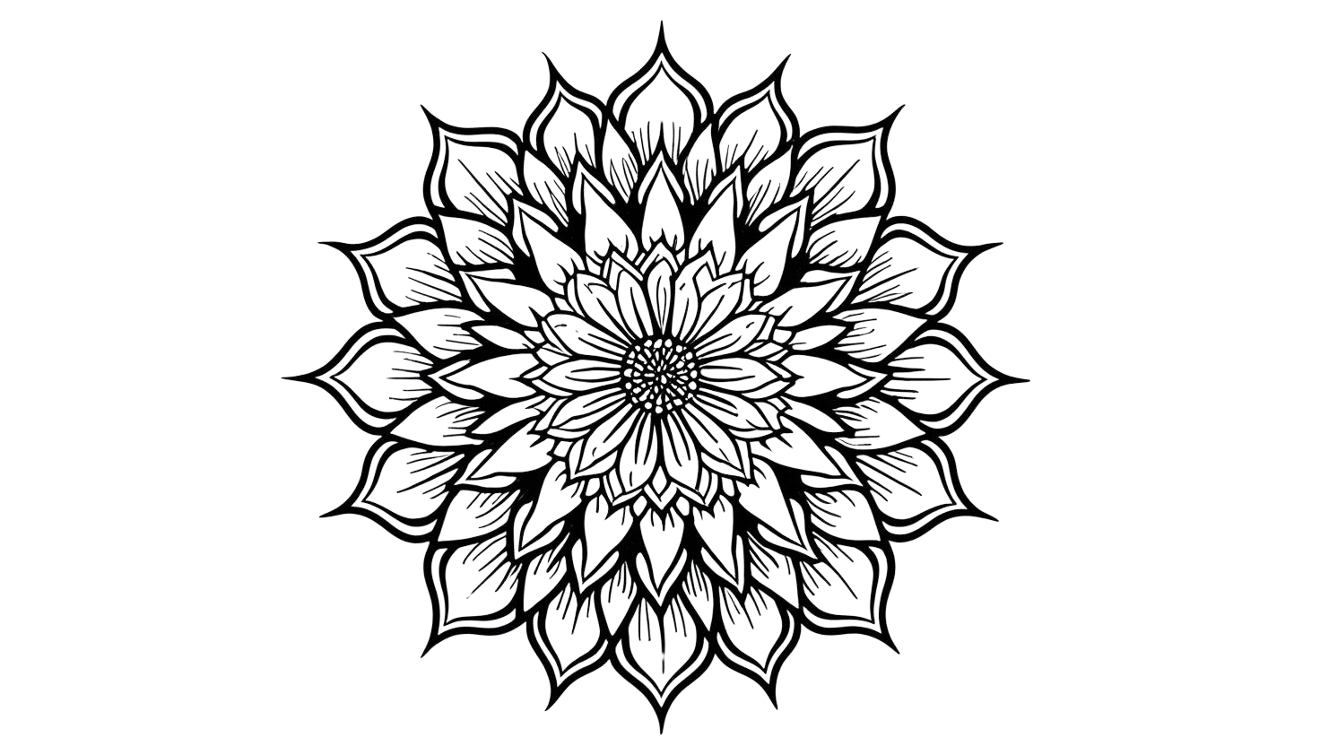 Leia mais sobre o artigo Mandala