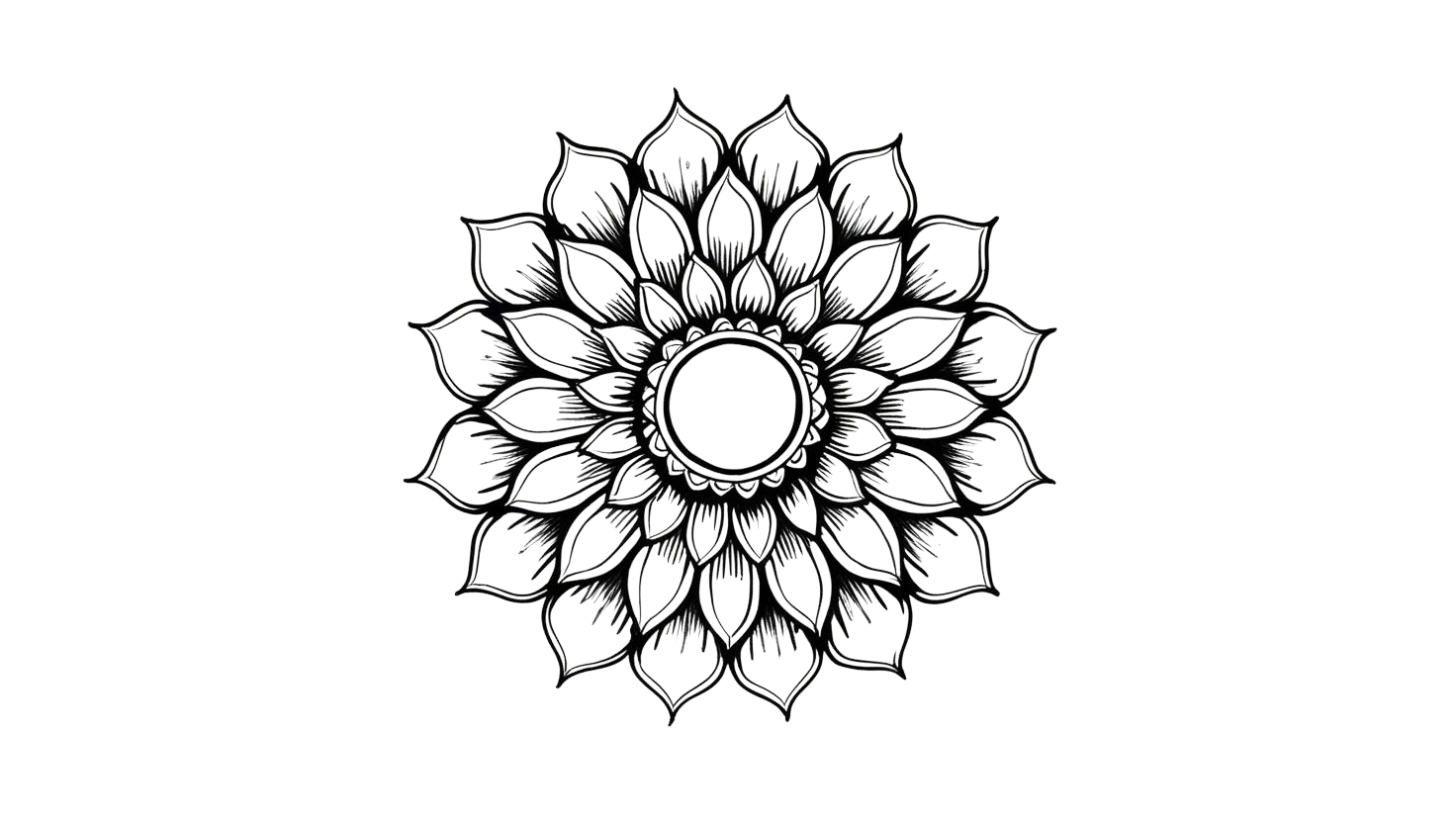 Leia mais sobre o artigo Mandala